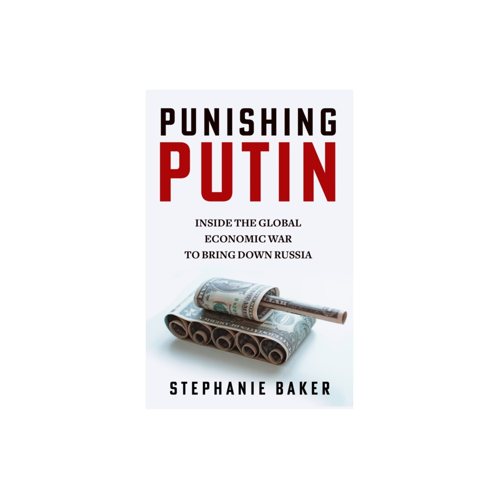 Produktbild för Punishing Putin (häftad, eng)