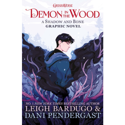 Hachette Children's Group Demon in the Wood (häftad, eng)