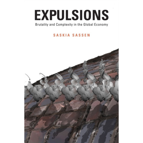 Harvard university press Expulsions (inbunden, eng)