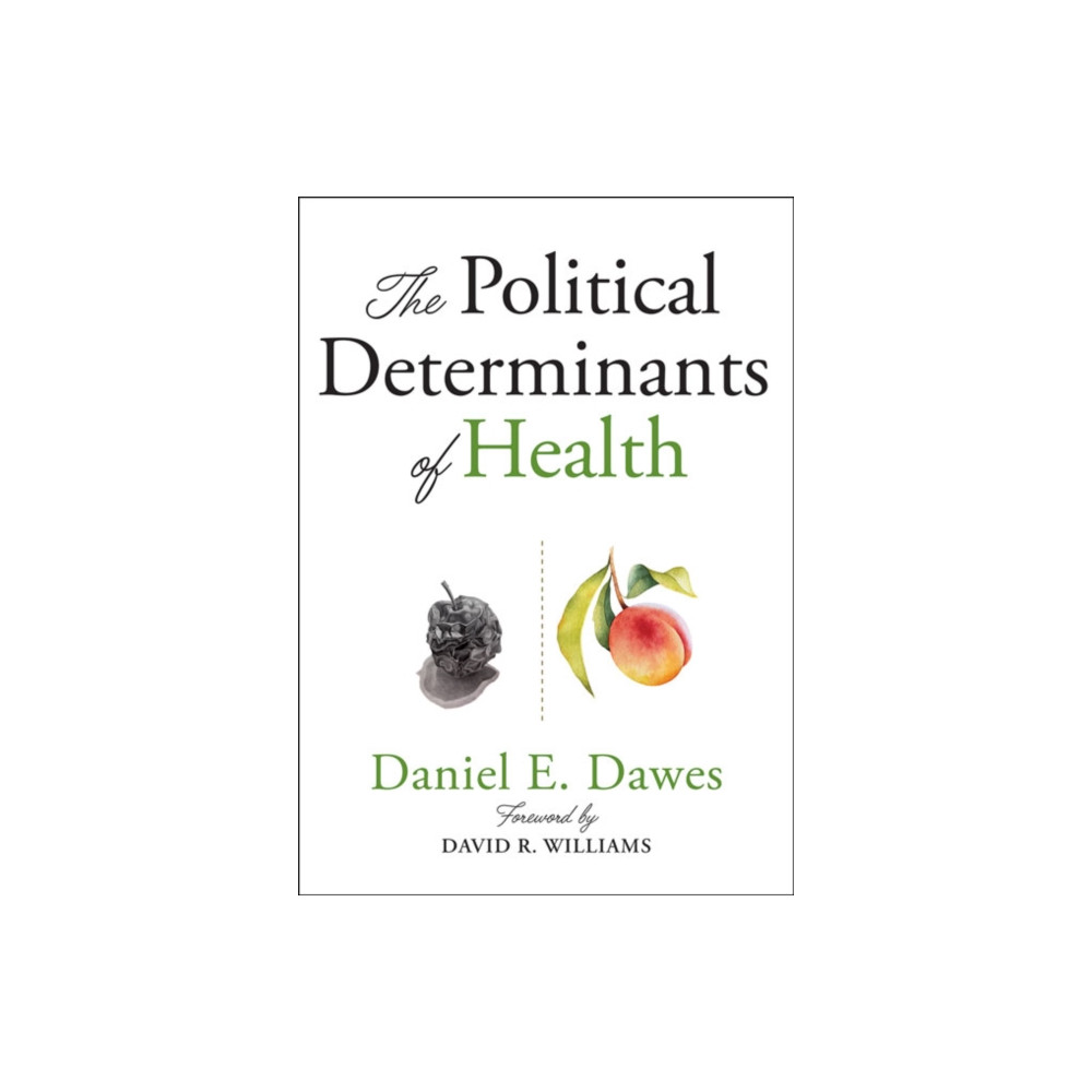Produktbild för The Political Determinants of Health (häftad, eng)