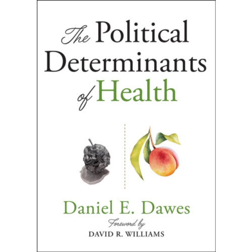 Johns Hopkins University Press The Political Determinants of Health (häftad, eng)