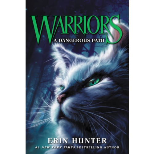 HarperCollins Warriors #5: A Dangerous Path (häftad, eng)