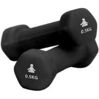 Produktbild för Premium Dumbbells 2 x 0.5 kg