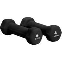 Produktbild för Premium Dumbbells 2 x 0.5 kg