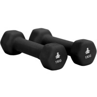 Produktbild för Premium Dumbbells 2 x 1 kg