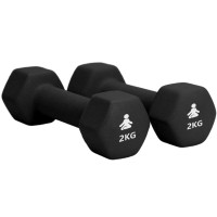 Produktbild för Premium Dumbbells 2 x 2 kg