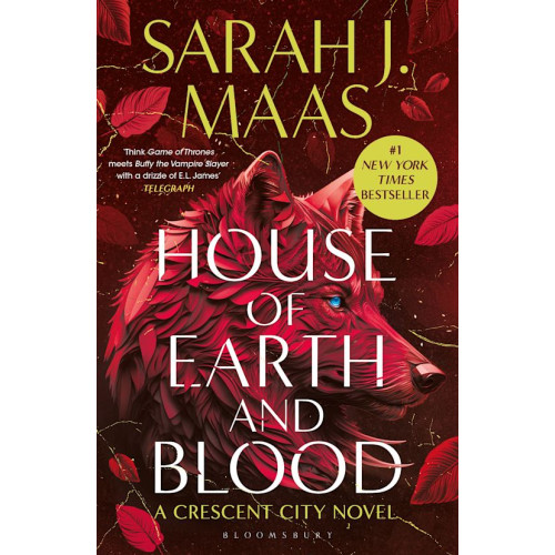 Sarah J. Maas House of Earth and Blood (pocket, eng)