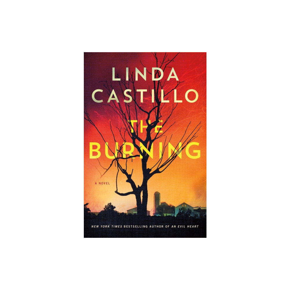 Produktbild för The Burning (häftad, eng)