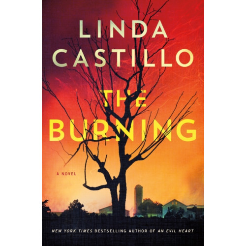 Minotaur Books,US The Burning (häftad, eng)