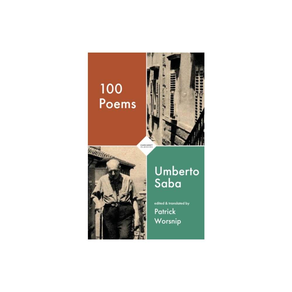 Produktbild för 100 Poems (häftad, eng)