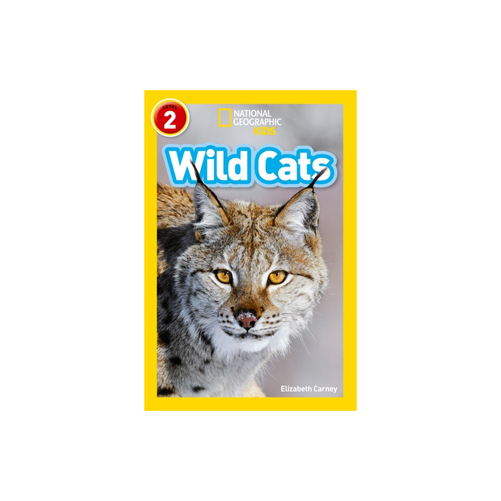 Produktbild för Wild Cats (häftad, eng)