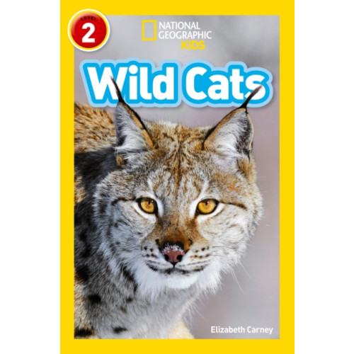 HarperCollins Publishers Wild Cats (häftad, eng)