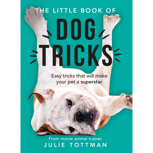 Orion Publishing Co The Little Book of Dog Tricks (häftad, eng)