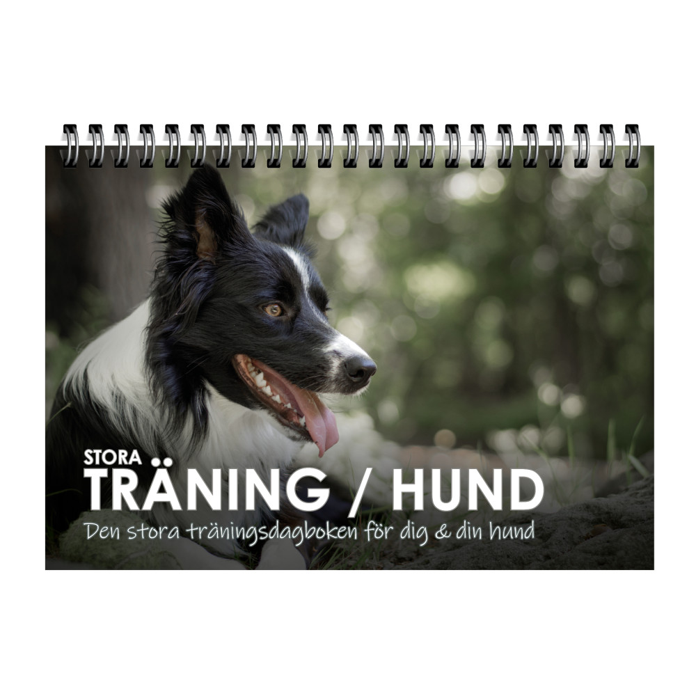Produktbild för Stora Träning/Hund : den stora träningsdagboken för dig och din hund (bok, spiral)
