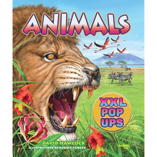 nuinui Animals XXL pop-ups (inbunden, eng)
