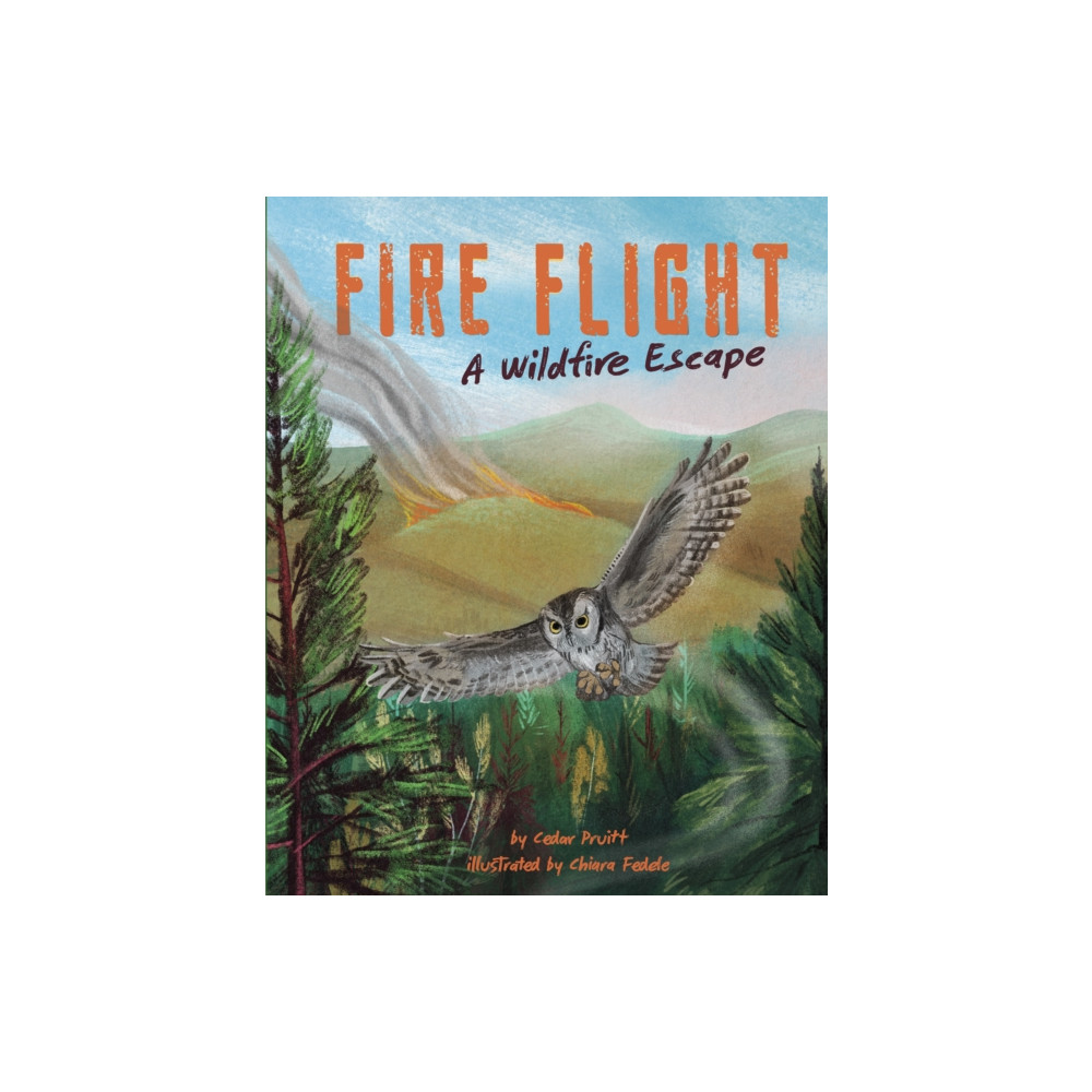 Produktbild för Fire Flight (häftad, eng)