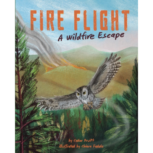 Capstone Global Library Ltd Fire Flight (häftad, eng)