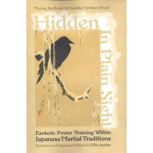 FreeLance Academy Press Hidden in Plain Sight (häftad, eng)