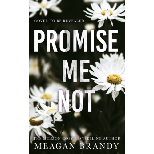 Orion Publishing Co Promise Me Not (häftad, eng)