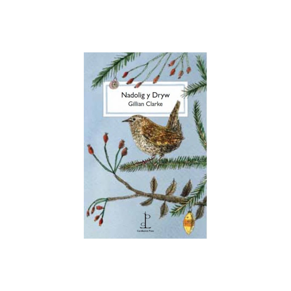 Produktbild för Nadolig y Dryw (The Christmas Wren) (häftad, eng)