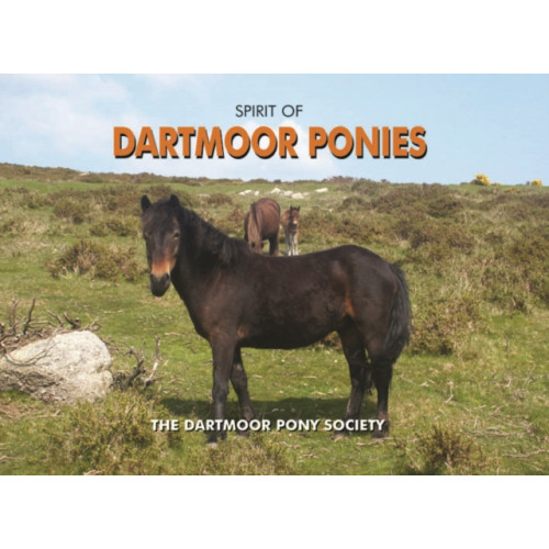 PiXZ Books Spirit of Dartmoor Ponies (inbunden, eng)