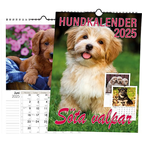 Livsenergi Hundkalender 2025 (bok, spiral)