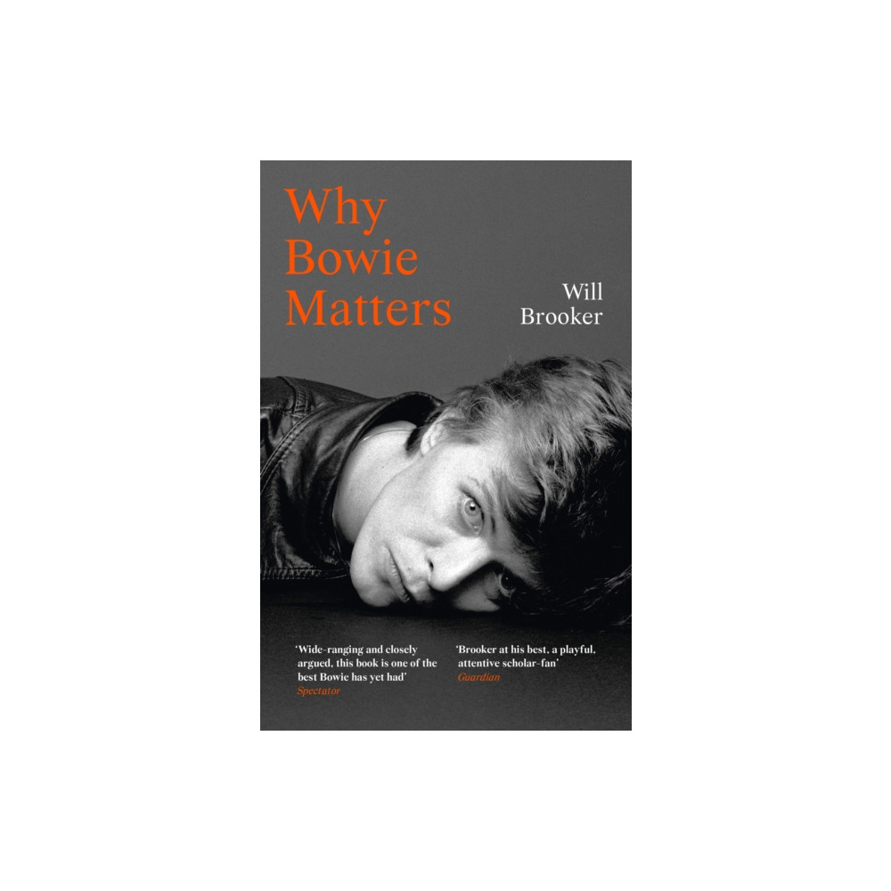 Produktbild för Why Bowie Matters (häftad, eng)