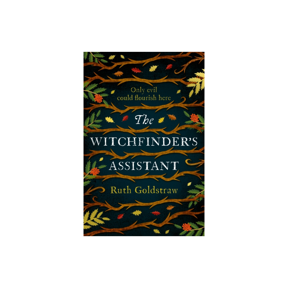 Produktbild för The Witchfinder’s Assistant (häftad, eng)