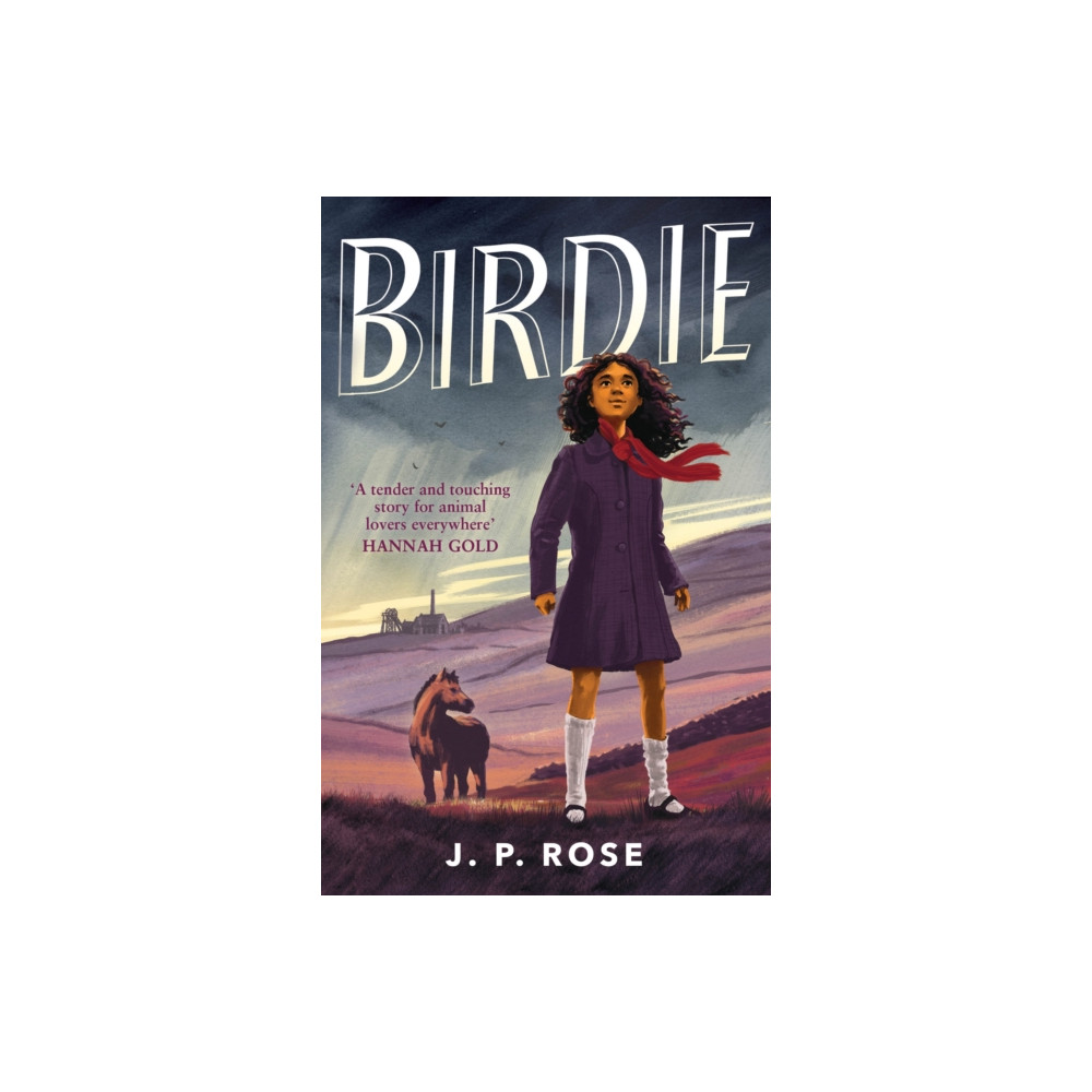 Produktbild för Birdie (häftad, eng)