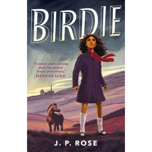 Andersen Press Ltd Birdie (häftad, eng)