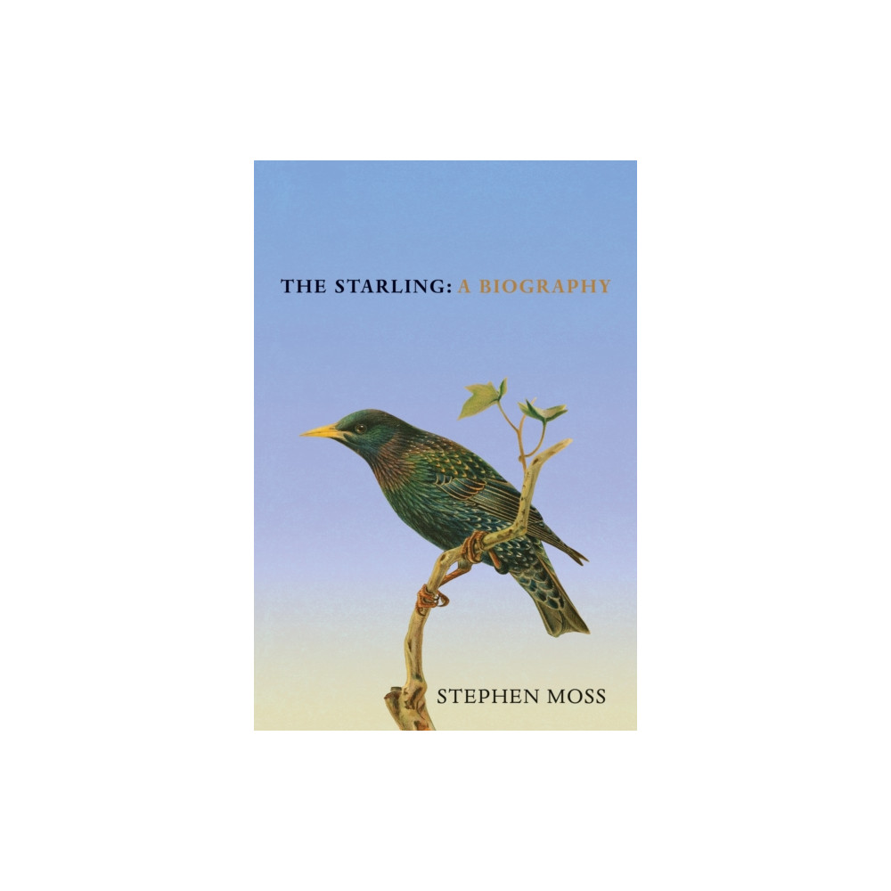 Produktbild för The Starling (inbunden, eng)
