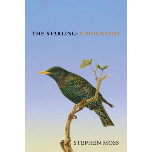Vintage Publishing The Starling (inbunden, eng)