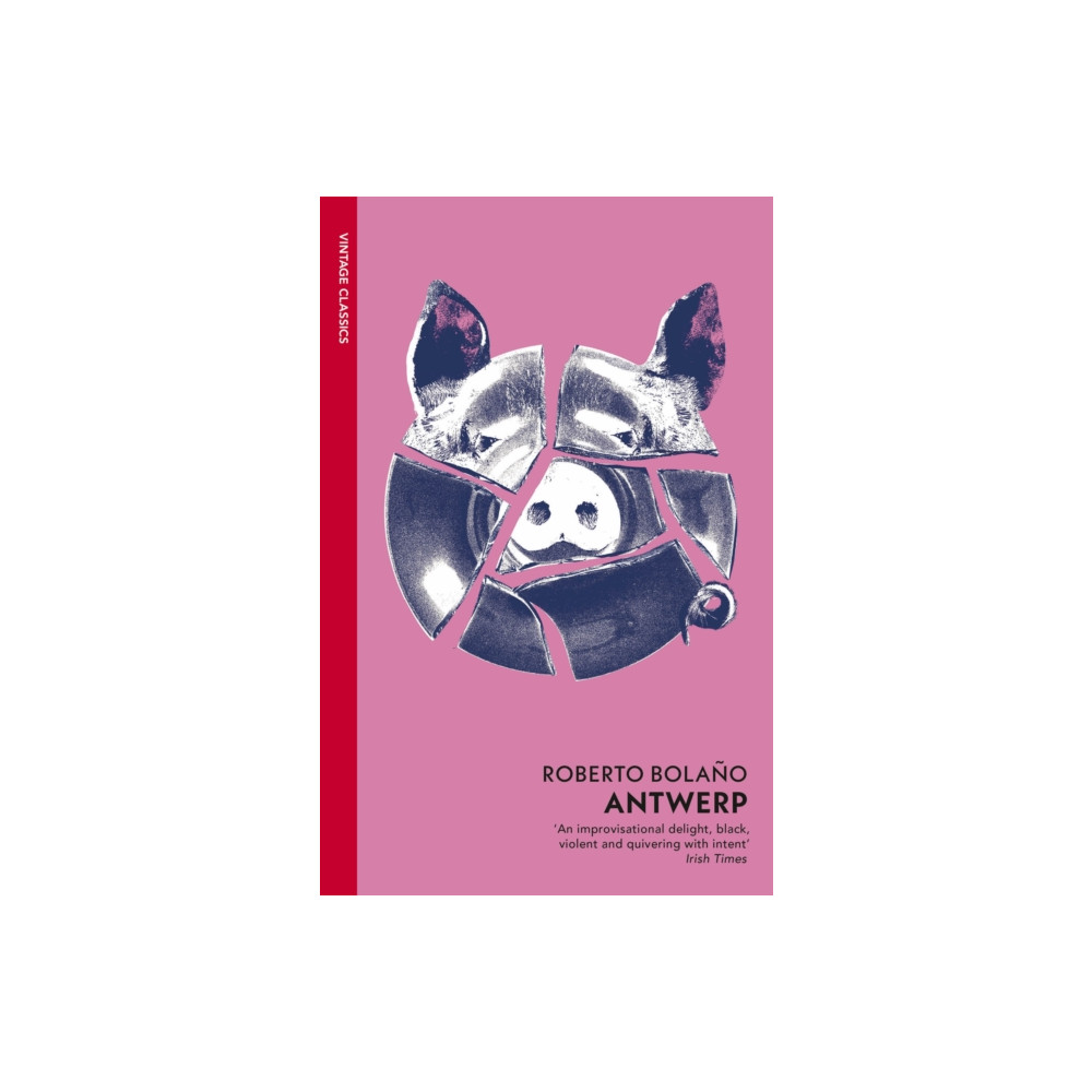 Produktbild för Antwerp (häftad, eng)