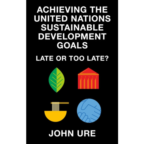 Emerald Publishing Limited Achieving the United Nations Sustainable Development Goals (häftad, eng)