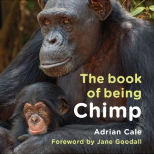 Graffeg Limited The Book of Being Chimp (inbunden, eng)