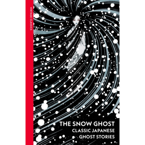 Vintage Publishing The Snow Ghost (häftad, eng)