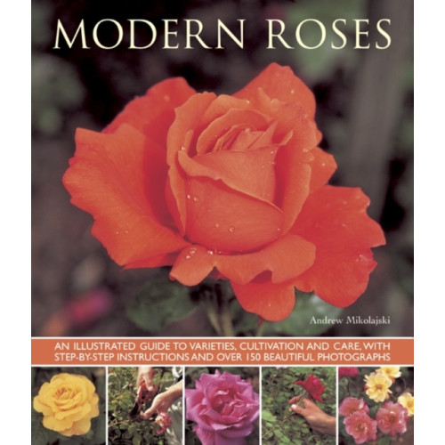 Anness publishing Modern Roses (häftad, eng)