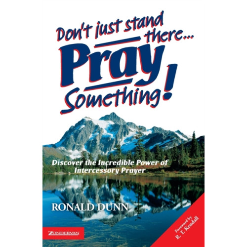 HarperCollins Publishers Don't Just Stand There, Pray Something (häftad, eng)