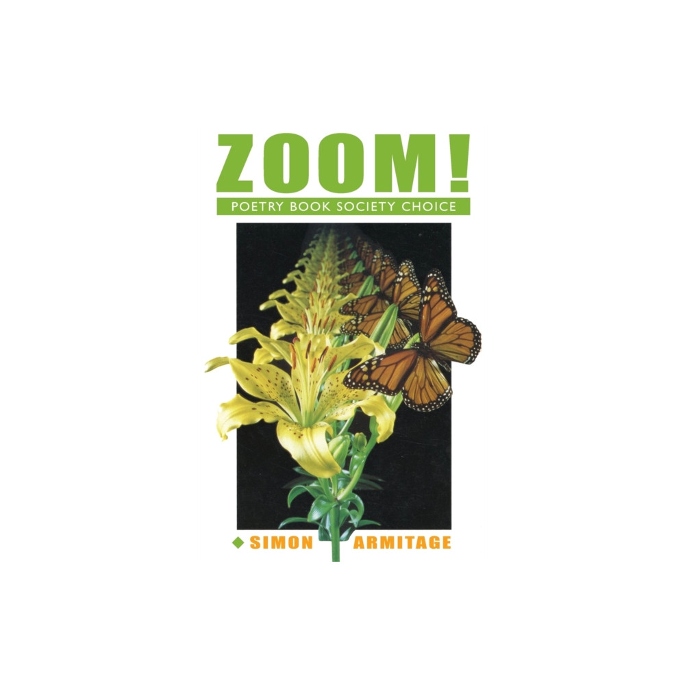 Produktbild för Zoom! (häftad, eng)
