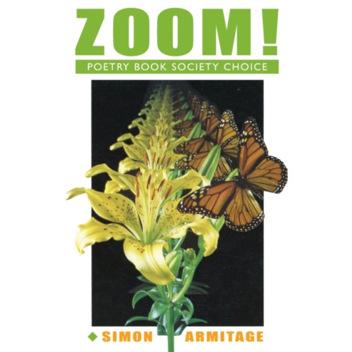 Bloodaxe Books Ltd Zoom! (häftad, eng)