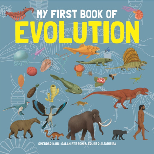 Button Books My First Book of Evolution (inbunden, eng)