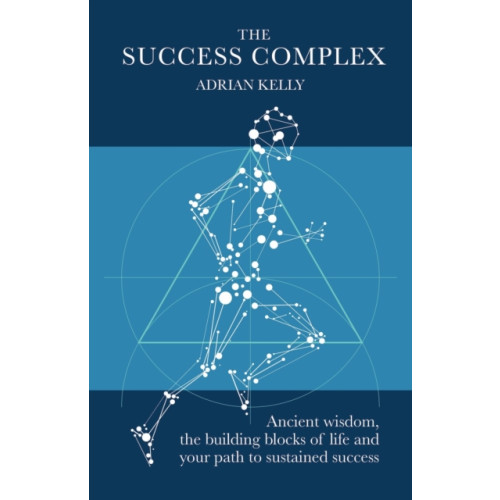 Practical Inspiration Publishing The Success Complex (häftad, eng)