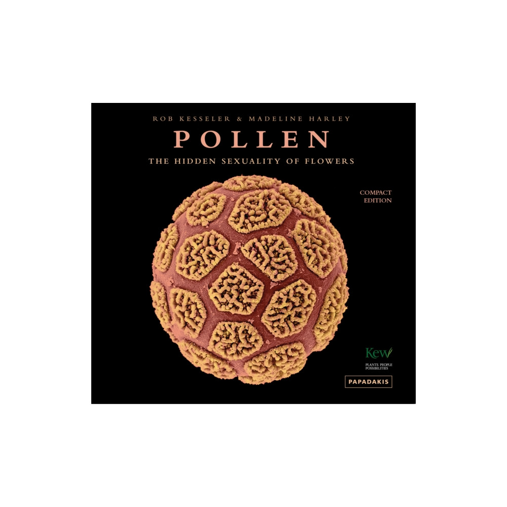 Produktbild för Pollen (inbunden, eng)