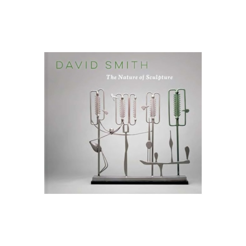 Produktbild för David Smith (inbunden, eng)