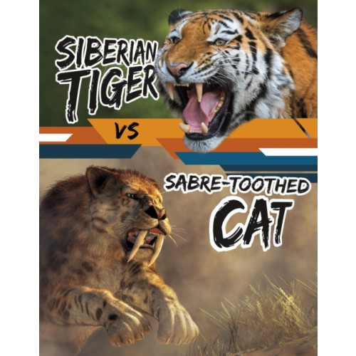 Capstone Global Library Ltd Siberian Tiger vs Sabre-Toothed Cat (inbunden, eng)