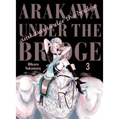 Vertical, Inc. Arakawa Under The Bridge, 3 (häftad, eng)