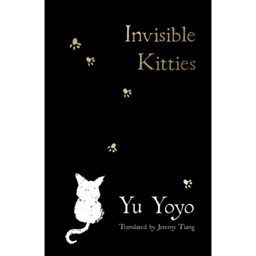 HarperCollins Publishers Invisible Kitties (häftad, eng)