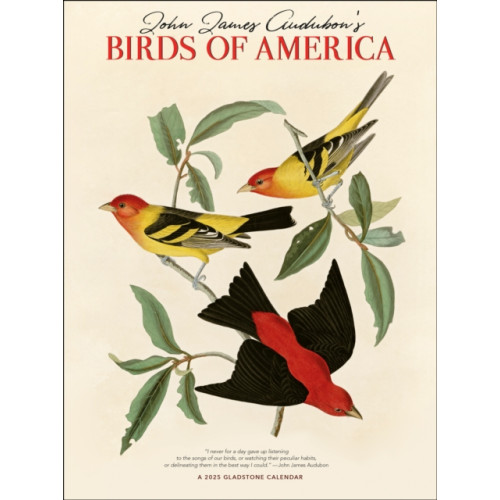 Gladstone Media Audubon's Birds of America Deluxe Wall Calendar 2025 (häftad, eng)