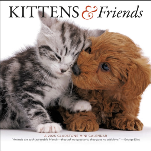 Gladstone Media Kittens & Friends Square Mini Calendar 2025 (häftad, eng)