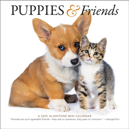 Gladstone Media Puppies & Friends Square Mini Calendar 2025 (häftad, eng)